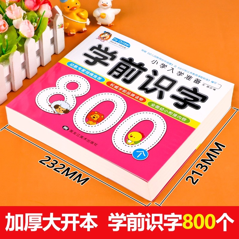 Дошкольная грамотность: 800 ки – обзор и цена Kid Educational